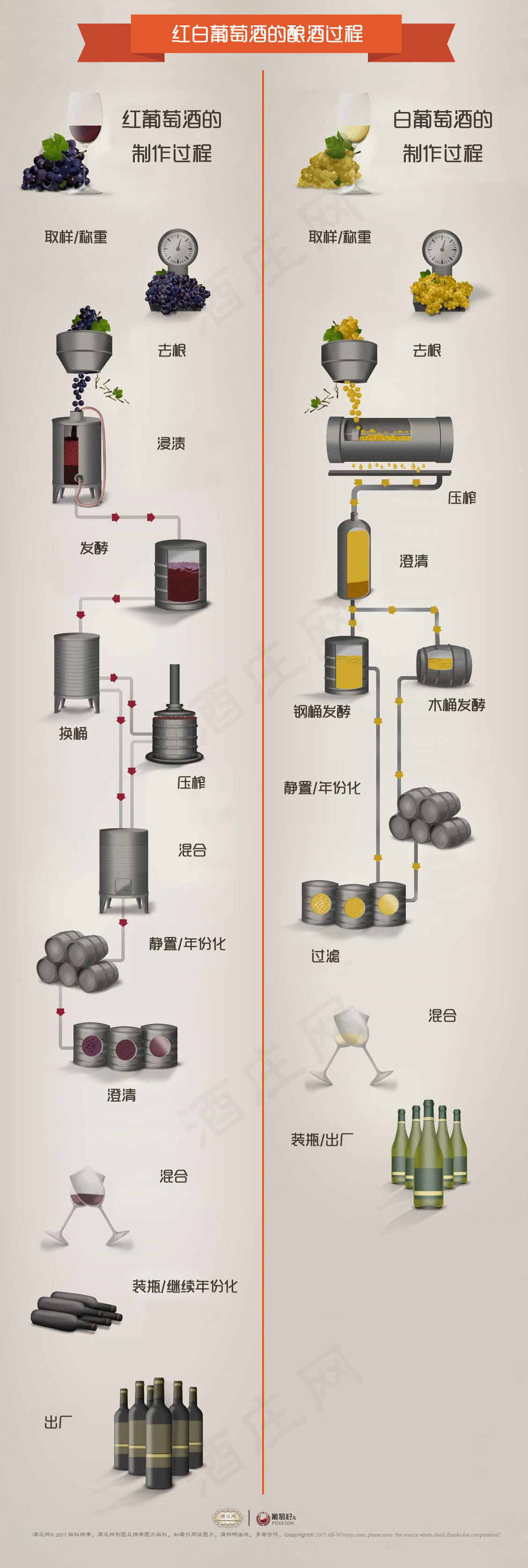 图解红葡萄酒的酿造过程-红酒世界网