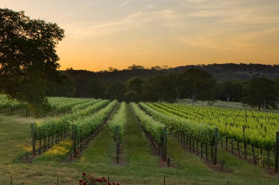 flwinery