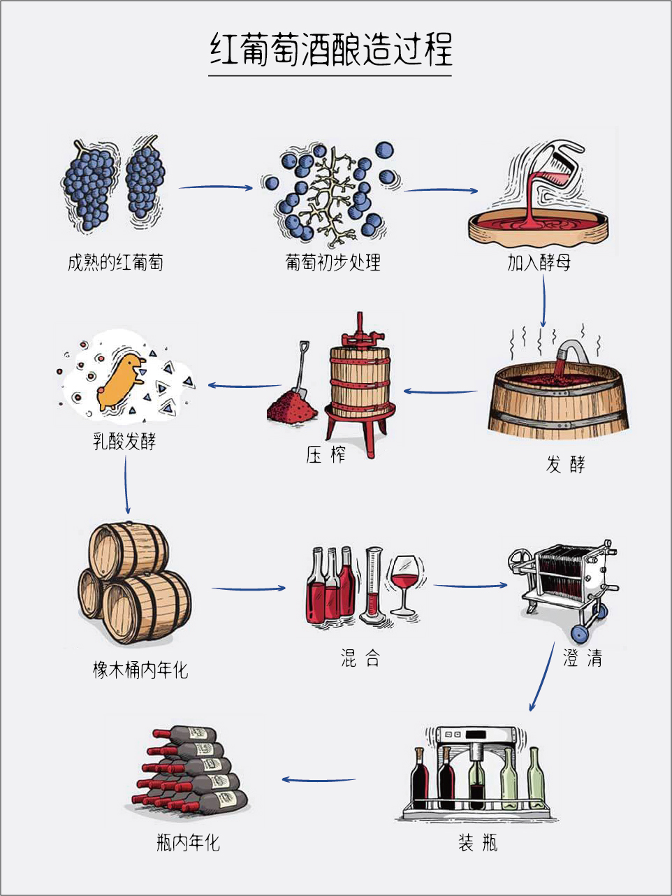 红葡萄酒是如何酿制的